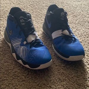 Kyrie’s Low Flytrap